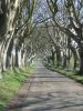 Filename=norniron070.jpg
Filesize=187KiB
Dimensions=700x933
Date added=Apr 17, 2012 norniron070.jpg