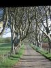 Filename=norniron073.jpg
Filesize=178KiB
Dimensions=700x933
Date added=Apr 17, 2012 norniron073.jpg
