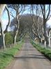 Filename=norniron074.jpg
Filesize=168KiB
Dimensions=700x933
Date added=Apr 17, 2012 norniron074.jpg