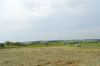 DSC_0140.jpg
