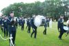 Filename=DSC_5113.jpg
Filesize=54KiB
Dimensions=700x469
Date added=Sep 05, 2012 DSC_5113.jpg