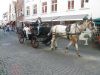 Filename=IMG_3938.jpg
Filesize=86KiB
Dimensions=700x525
Date added=Oct 17, 2016 IMG_3938.jpg