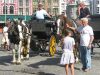 Filename=IMG_3959.jpg
Filesize=104KiB
Dimensions=700x525
Date added=Oct 17, 2016 IMG_3959.jpg