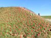 Filename=IMG_4107.jpg
Filesize=127KiB
Dimensions=700x525
Date added=Oct 17, 2016 IMG_4107.jpg