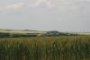 2010-d5-d8-056.jpg