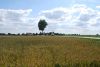 Filename=DSC_4371.jpg
Filesize=69KiB
Dimensions=700x469
Date added=Aug 23, 2011 DSC_4371.jpg